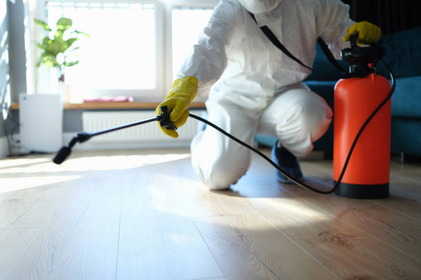 Reliable Odor Removal contractor in Dublin, OH by Trauma Clean Pros